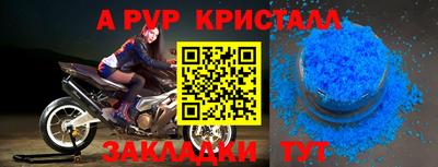 прущие грибы Нальчик