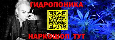 прущие грибы Нальчик