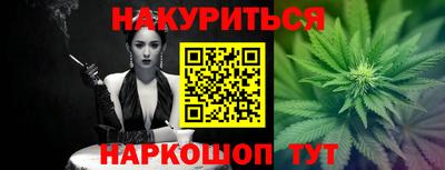 прущие грибы Нальчик