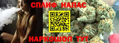 прущие грибы Нальчик