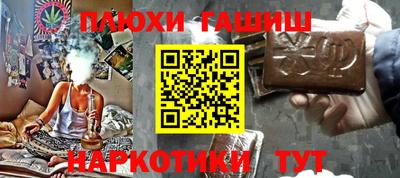 прущие грибы Нальчик