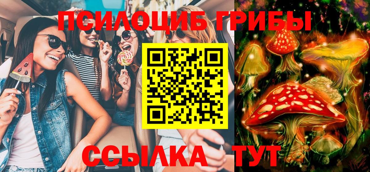 Галлюциногенные грибы ЛСД Зима