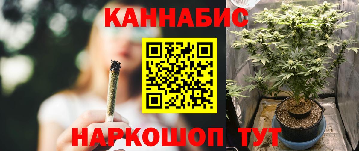 МАРИХУАНА конопля Зима